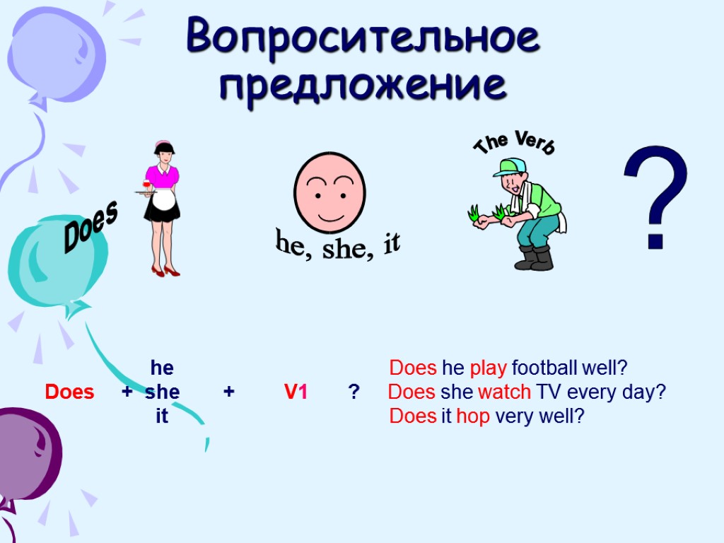 Вопросительное предложение Does The Verb he, she, it ? he Does he play football